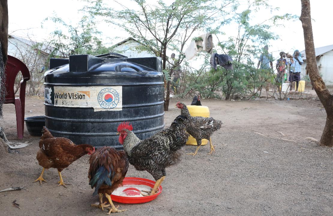 락슨 씨가 지원받은 가축
